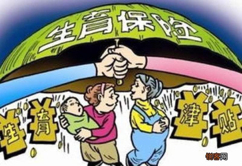 大学生生育津贴政策探讨与实施细节解析