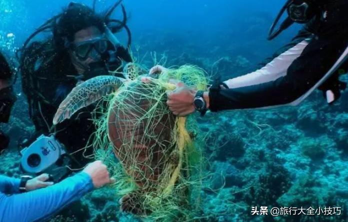 美核潛艇遭漁網(wǎng)纏繞事件深度剖析