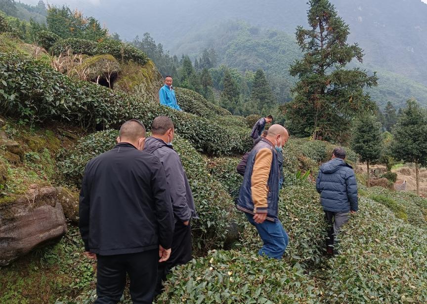 紅色合伙人模式,，創(chuàng)新組團(tuán)服務(wù),，提升治理效能的探索與實(shí)踐