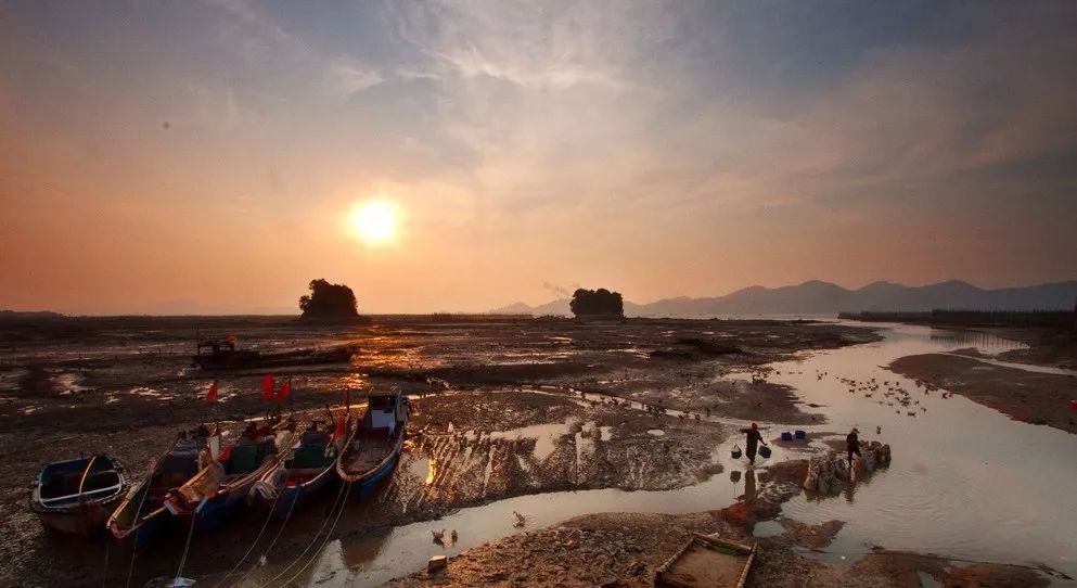 象山之美，山海碰撞与瓷釉海泥的结晶艺术