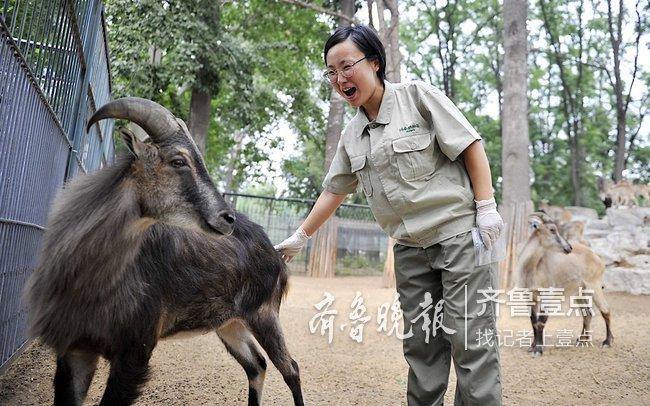 黑猩猩巧克力的哐哐炫大葱之旅，入乡随俗的硬核冒险故事