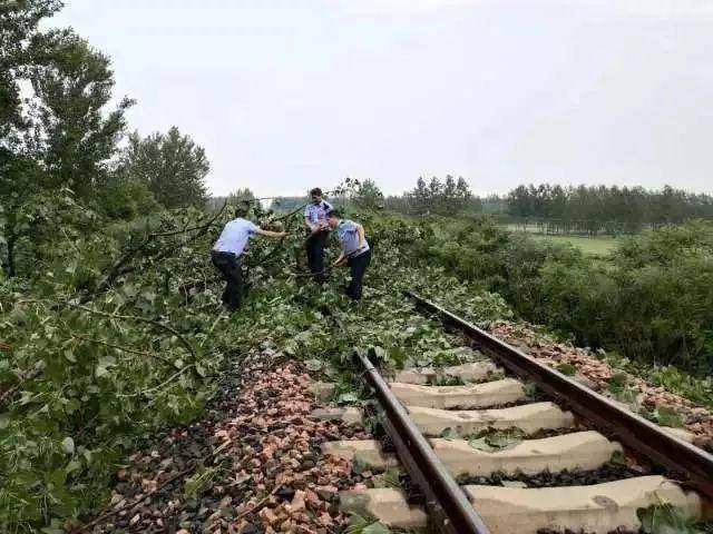 热心市民成功拦停火车，避免铁路旁紧急事故——马鞍山线杆倾倒瞬间