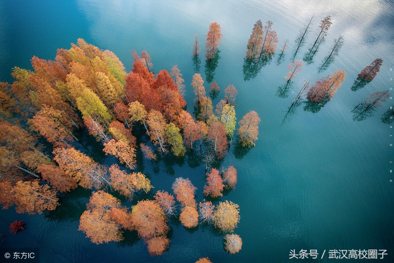 成都繞城綠道初冬美景如畫