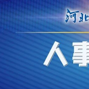 河北三市最新人事任免动态