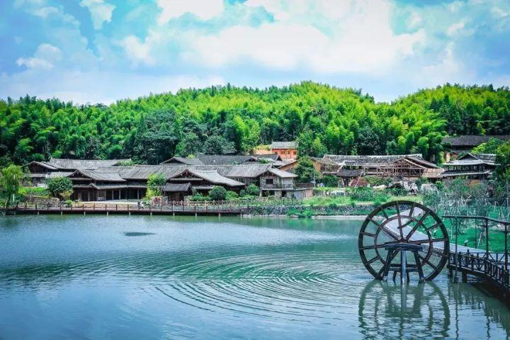 浙江多地大风降温，气温骤降来袭