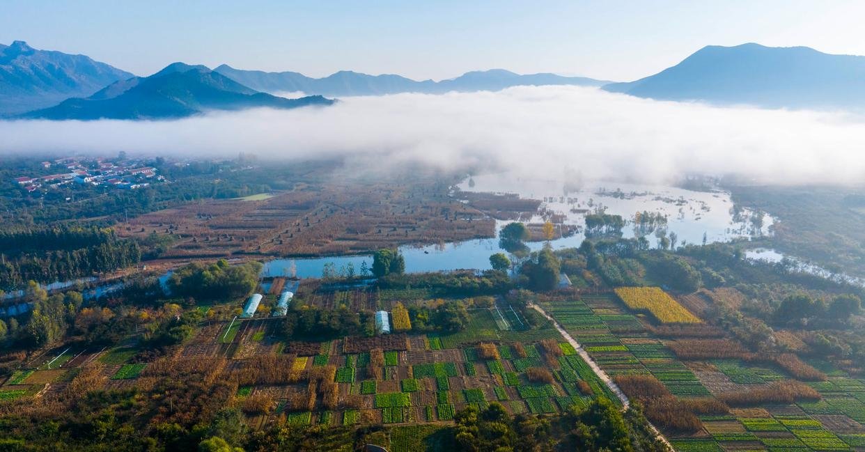 河北遵化山村冬晨雾霭缭绕，如画美景诗意盎然