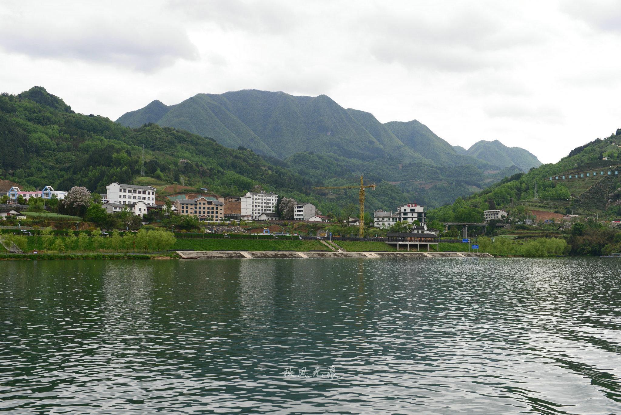 初冬柳水乡，别样的山水画卷