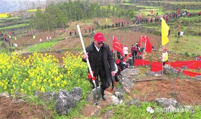 临沂山大王刘善东，守护青山三十二载，万木生机盎然