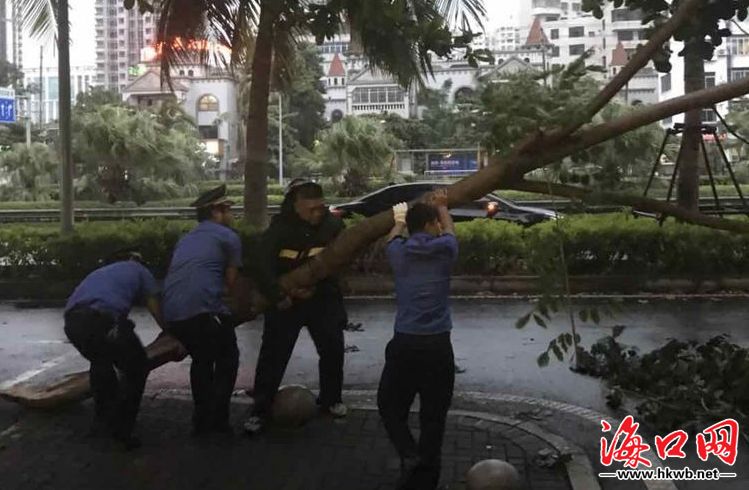 台风过后海口金盛达建材城周边应急响应与市民心声实录