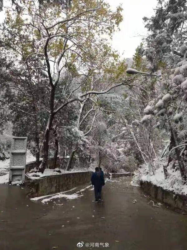 湖北迎雪天，冬季气温骤降至5℃！