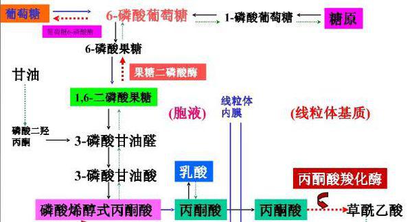 2024年11月 第17页