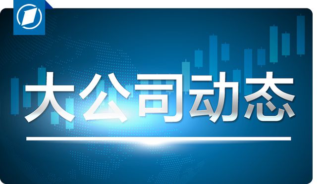 美国政府效率部启动与马斯克招募高智商无薪人才，新时代的挑战与机遇