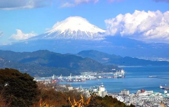 日本山崎县独特魅力与风土人情探秘