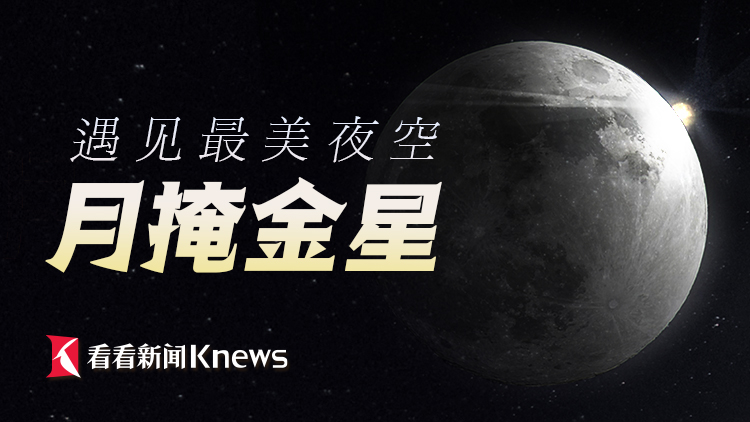 星座与情感，金星与月亮的神秘吸引力对男性影响探索