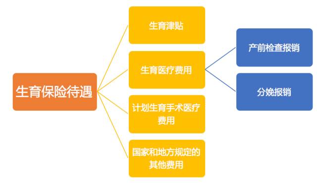 大学生生育费用报销指南