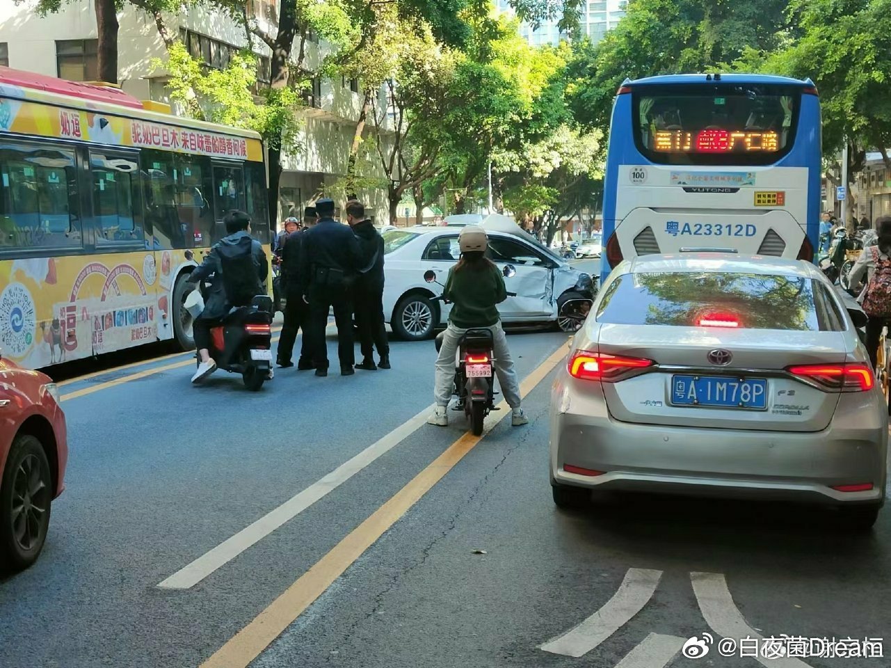 广州泰康路张姓司机撞人事件，深度探究与反思的背后