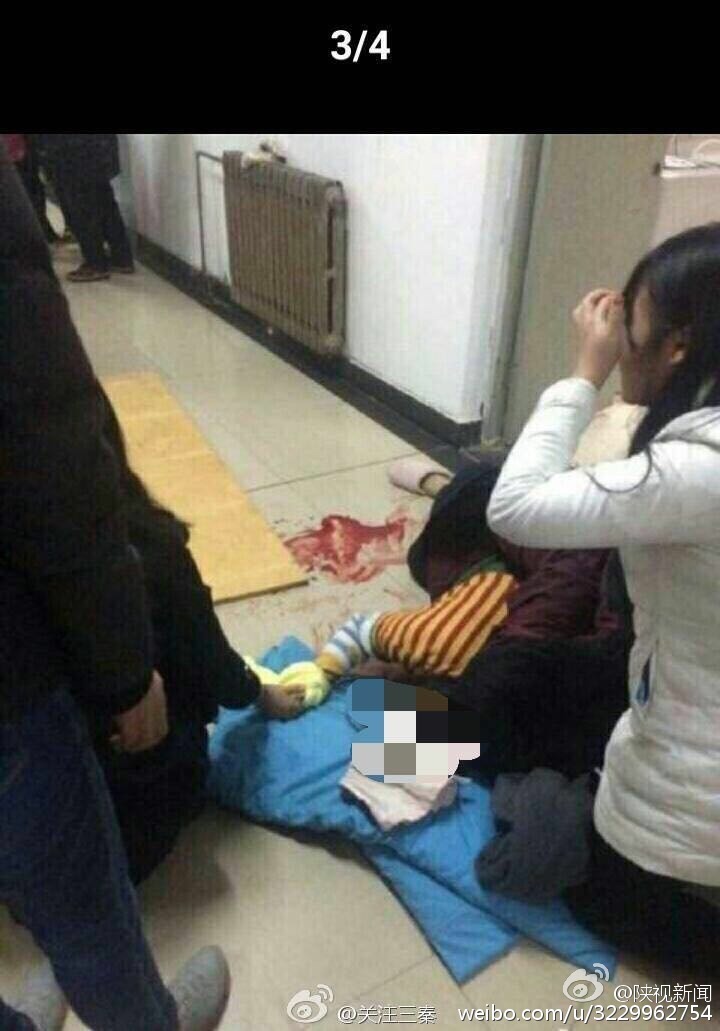 西安高校女子砍人事件，深度探究背后的原因与反思