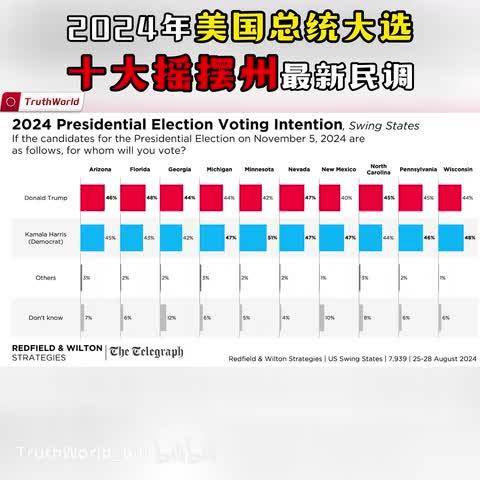 2024年美國大選最新民調(diào)深度解讀，候選人態(tài)勢與選民意向分析