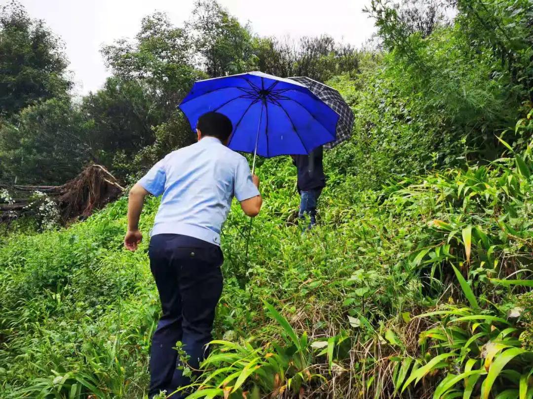 暴雨天气出行安全指南，避免隐患，平安出行