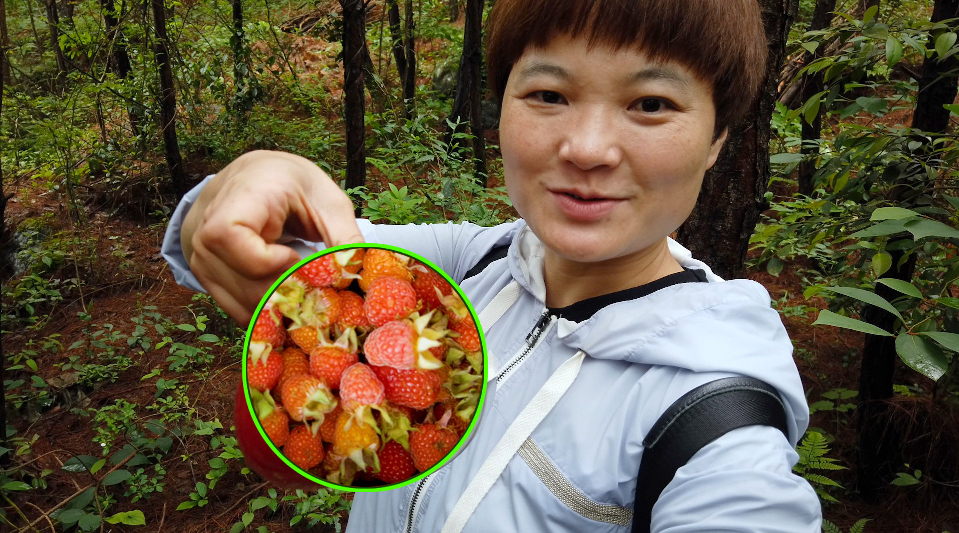 野外美味之旅，从森林采摘到品尝的探险之旅