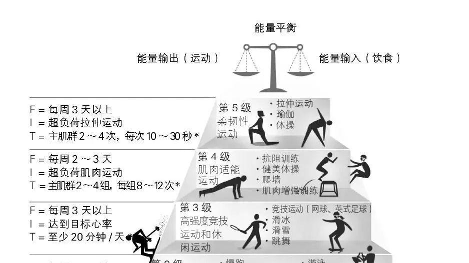 如何通过运动延缓身体机能衰退，运动助你保持活力与年轻态