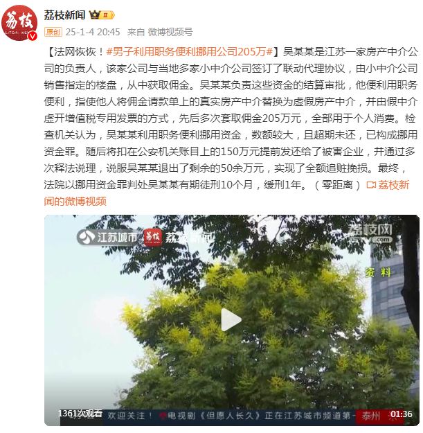 男子挪用公司巨款获刑，警示案例与反思