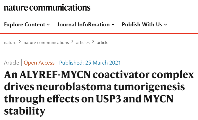 科學(xué)家揭秘癌癥治療新突破,，解鎖潛在治療可能性