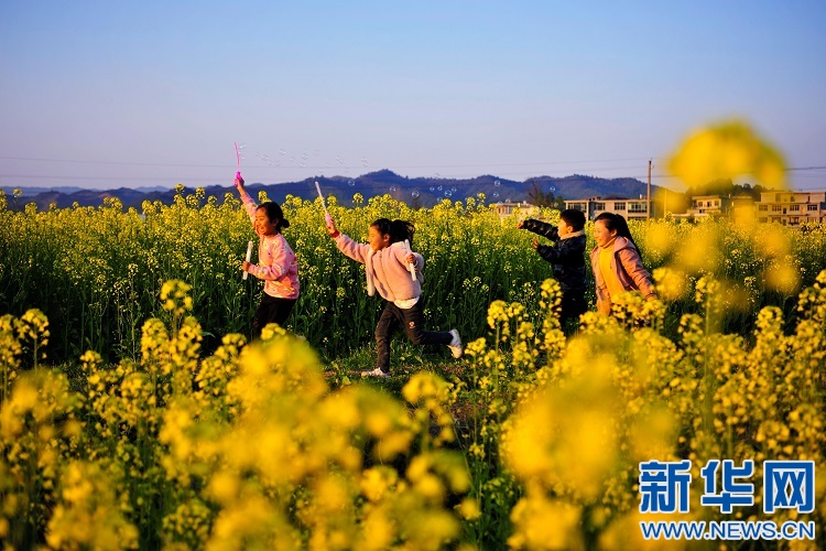 多地推行乡村游，激活农村经济新活力