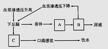 血冷﹡暗夜