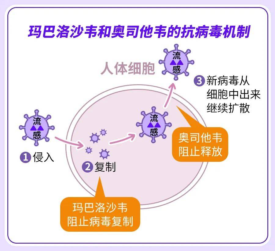 瑪巴洛沙韋需求激增超200%，市場趨勢分析及挑戰(zhàn)探討