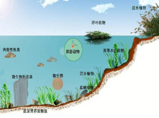 多地水環(huán)境治理優(yōu)化,，河流生態(tài)顯著改善