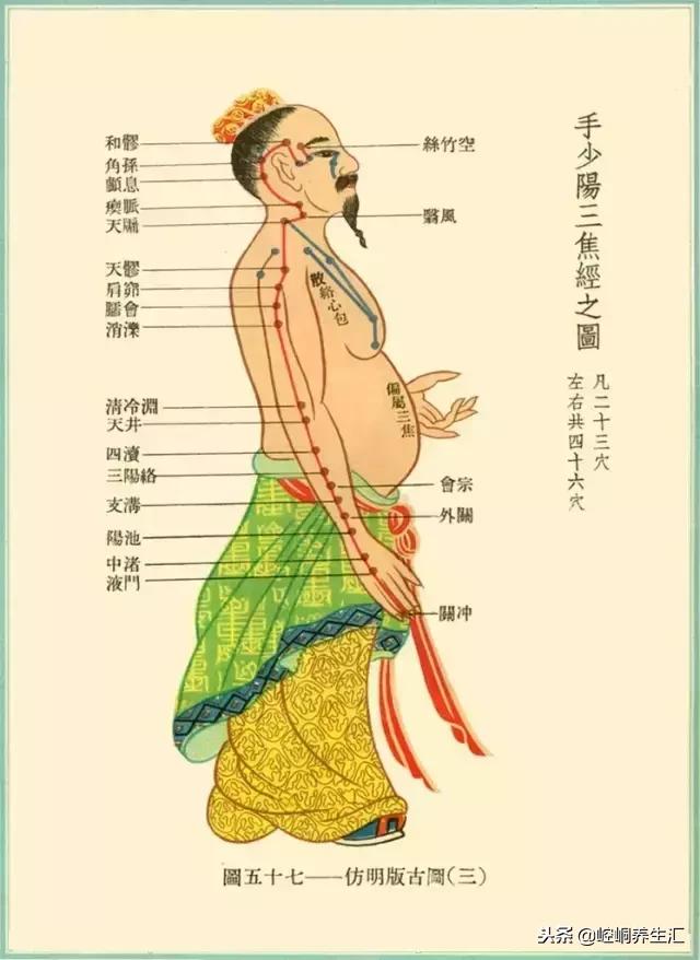 中醫(yī)經(jīng)絡養(yǎng)生,，疏通經(jīng)絡，健康之道