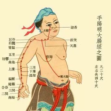 中醫(yī)經(jīng)絡養(yǎng)生，疏通經(jīng)絡,，健康之道