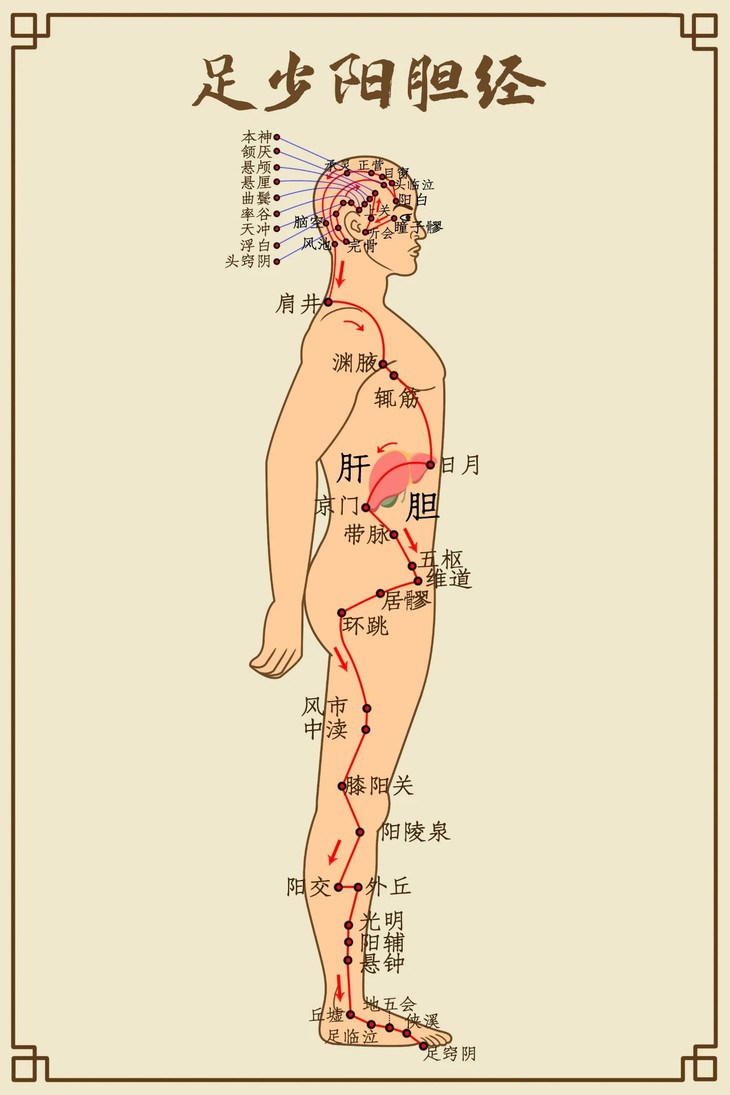 中醫(yī)疏通經(jīng)絡(luò)消除疲勞的方法與效果