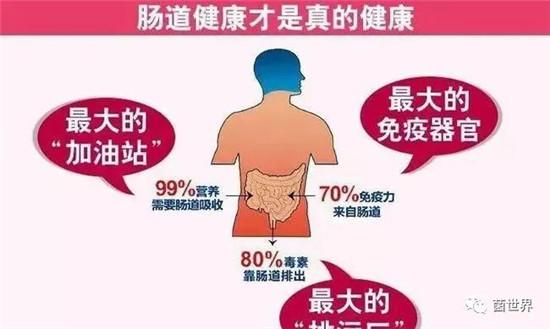 中醫(yī)養(yǎng)生法，提升腸道健康之道