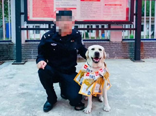 云南警犬遭連續(xù)通報批評,，工作中的不足與改進措施探討