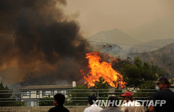 洛杉磯市長微笑應對山火挑戰(zhàn),，城市與自然的和諧共舞之道