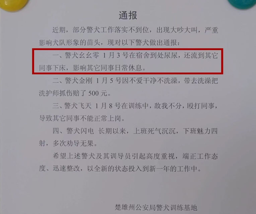 云南警犬遭遇連續(xù)通報批評,，背后的故事與挑戰(zhàn)引人深思